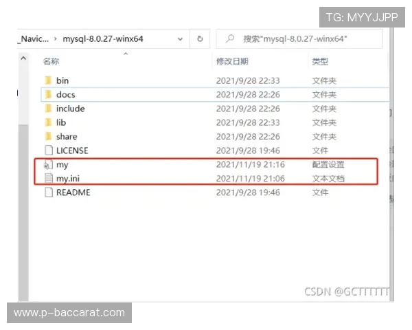 Stwan游戏运行安装脚本详细教程及常见问题解决方法 Stwan游戏运行安装脚本详细教程及常见问题解决方法