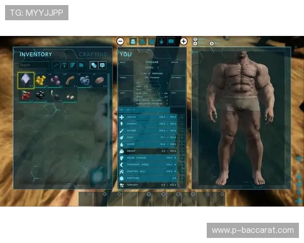 《NS美版与日版游戏联机体验差异解析》 《NS美版与日版游戏联机体验差异解析》